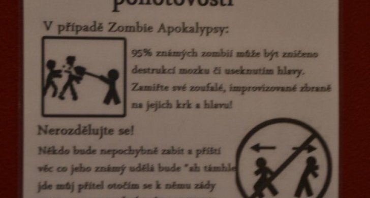 DSC_9781 (Kopírovat).JPG